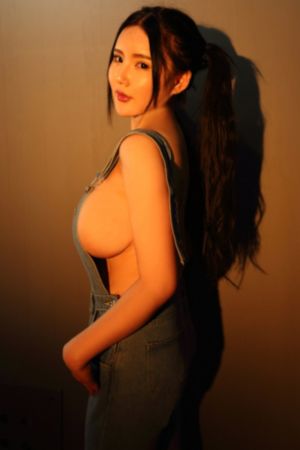 拉布拉多警长