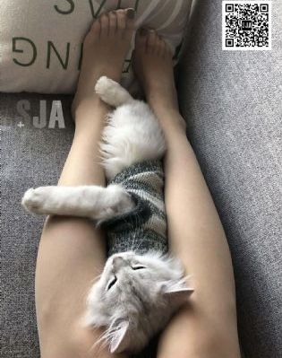 精品在线视频观看