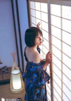 免费播放电视剧大全