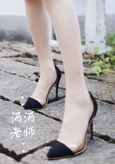 与凤行电视剧1-40集全免费看