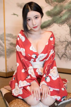 新红楼梦电视剧