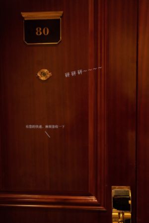 八戒成人理论片在线观看