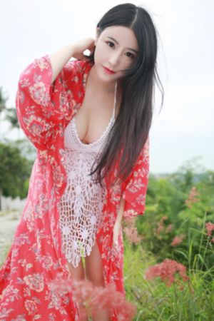 莉兹与青鸟
