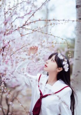 哈哈哈哈哈第三季高清完整版